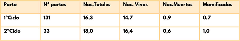 Primeros datos productivos